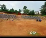 50 സെന്റ് സ്ഥാലം വില്പനക്ക്