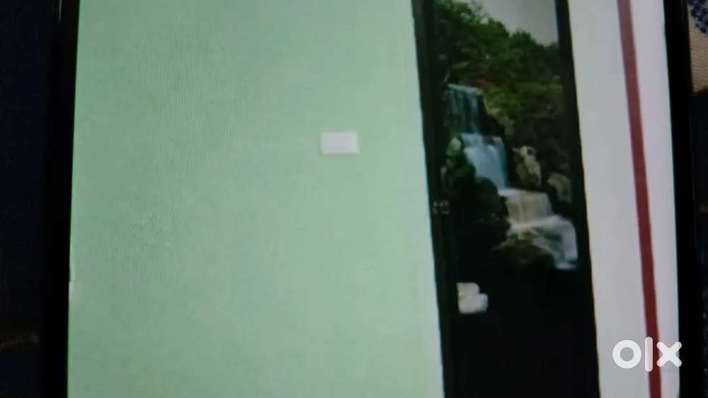 Paying gust for ladies.