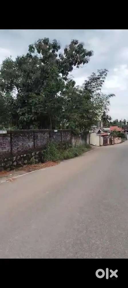 30 cent or 15 cent land for sale pattom 30 m from main road