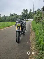 Hornet 2.0
