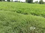 बदली ड्रायव्हर मिळेल..