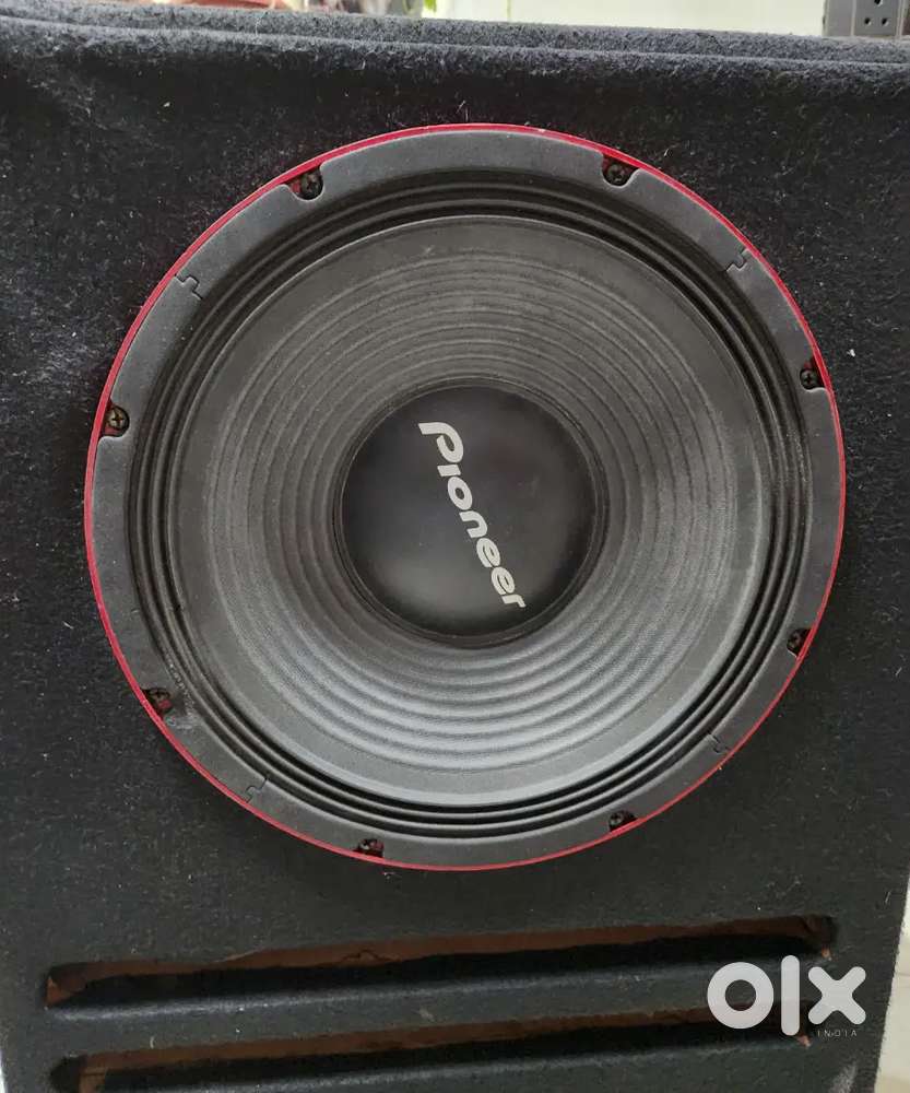 Pioneer - TS-W1200PRO

Woofer, double coil