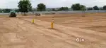 Bright Investment for kids
