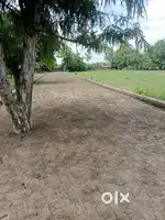 Lucknow plot