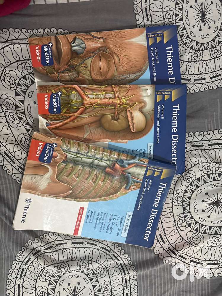 Anatomy thieme dissector
