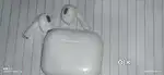 Apple Earbuds