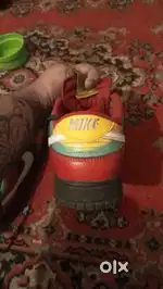 Nike Dunk Low - LTD Edition