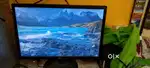 Computer Monitor