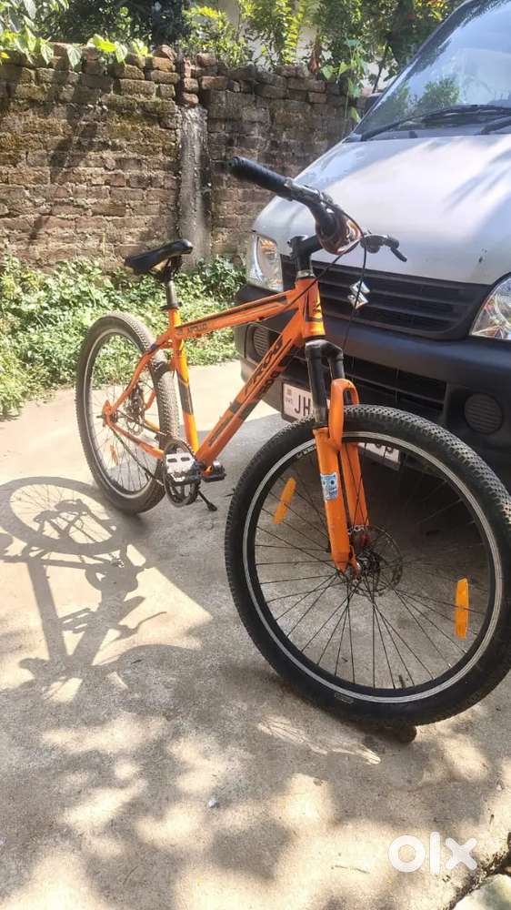 Frog cycle