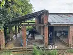 Running dairy farm for rent