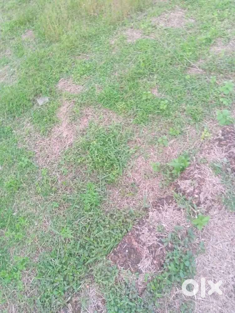 40 cent at manya,6 km to civil station,square plot,400 meter to pwd rd