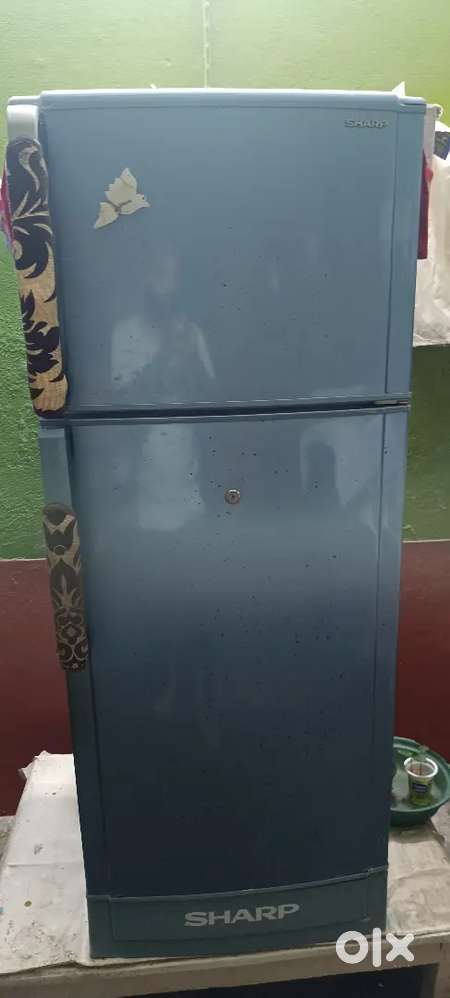 Sharp refrigerator