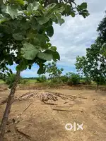Individual open plot for sale