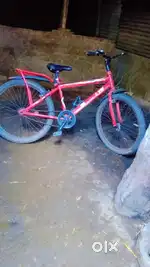 Cycle best for kids and old unkle