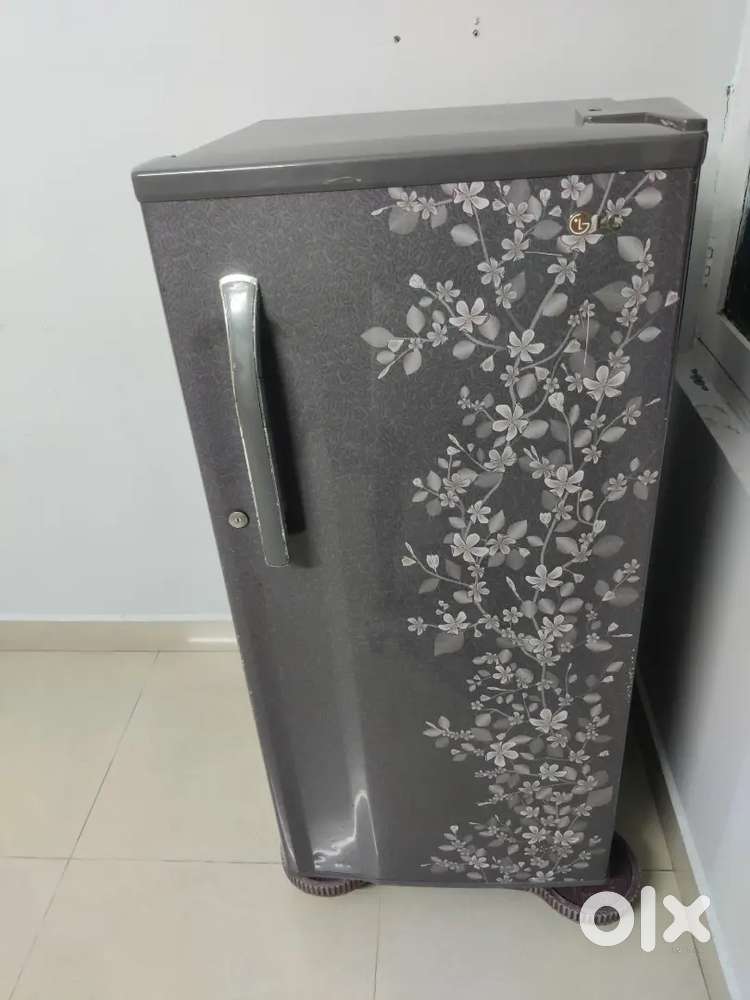 LG Fridge/ Freeze