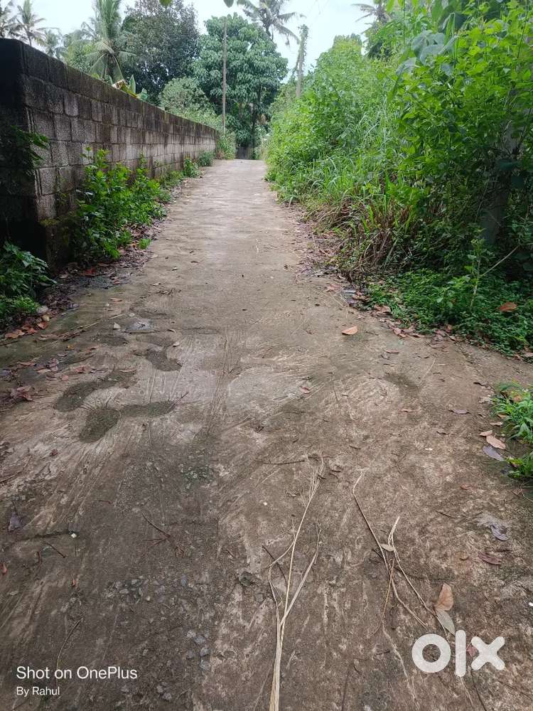 PLOT FOR SALE AT MOTTAMOODU