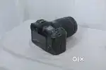 CANON R = 24 - 105 Rf