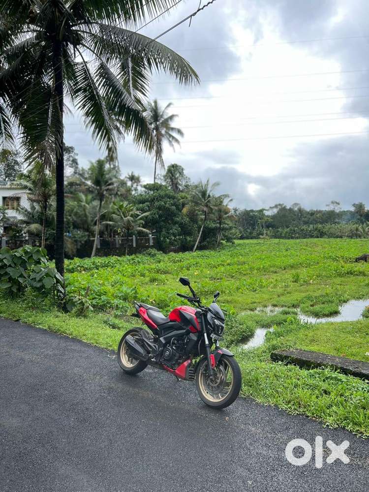 Dominar400