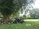 Rc  insurance pollution OK h sigh letter k base pr Lena Bike m koi h