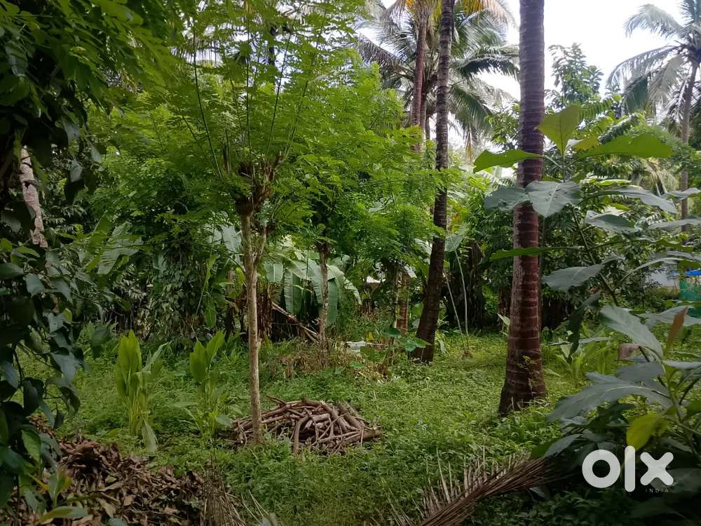 Plot for sale