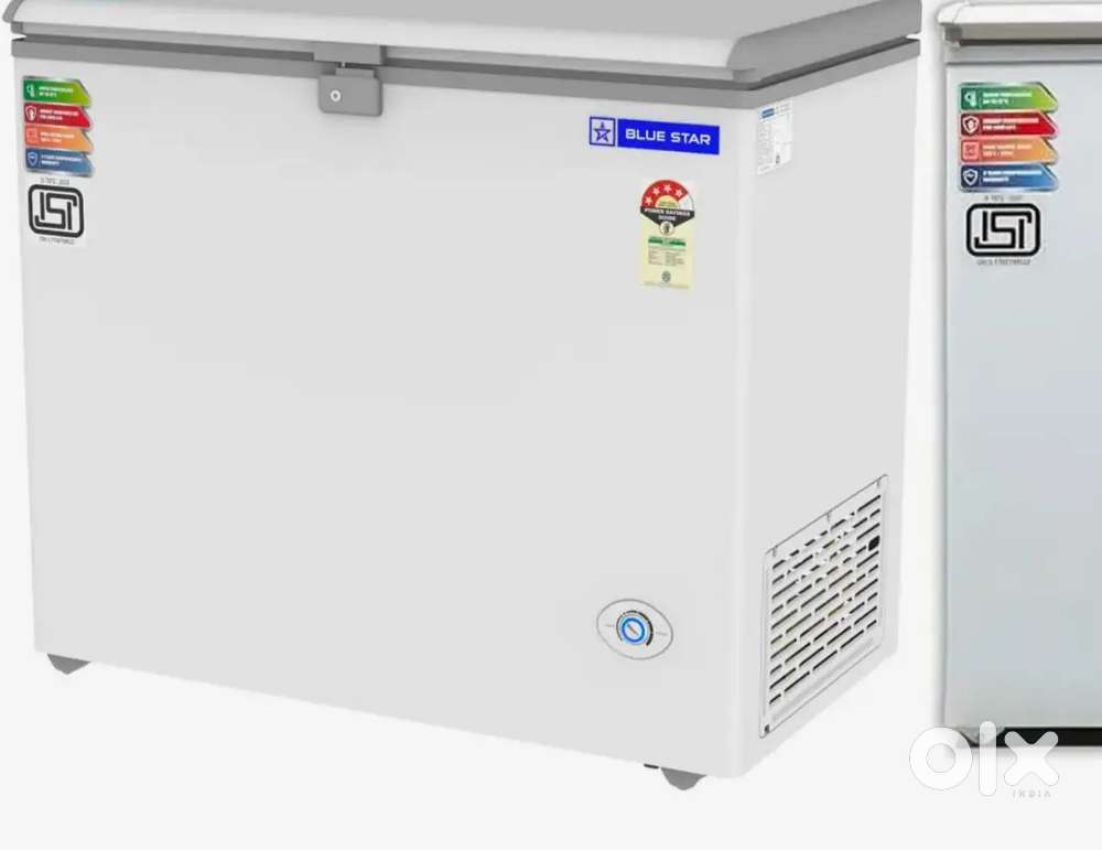 Blue Star Hard Top Deep Freezer
