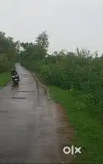 81 ગુંઠા જમીન- 5  km નડિયાદ