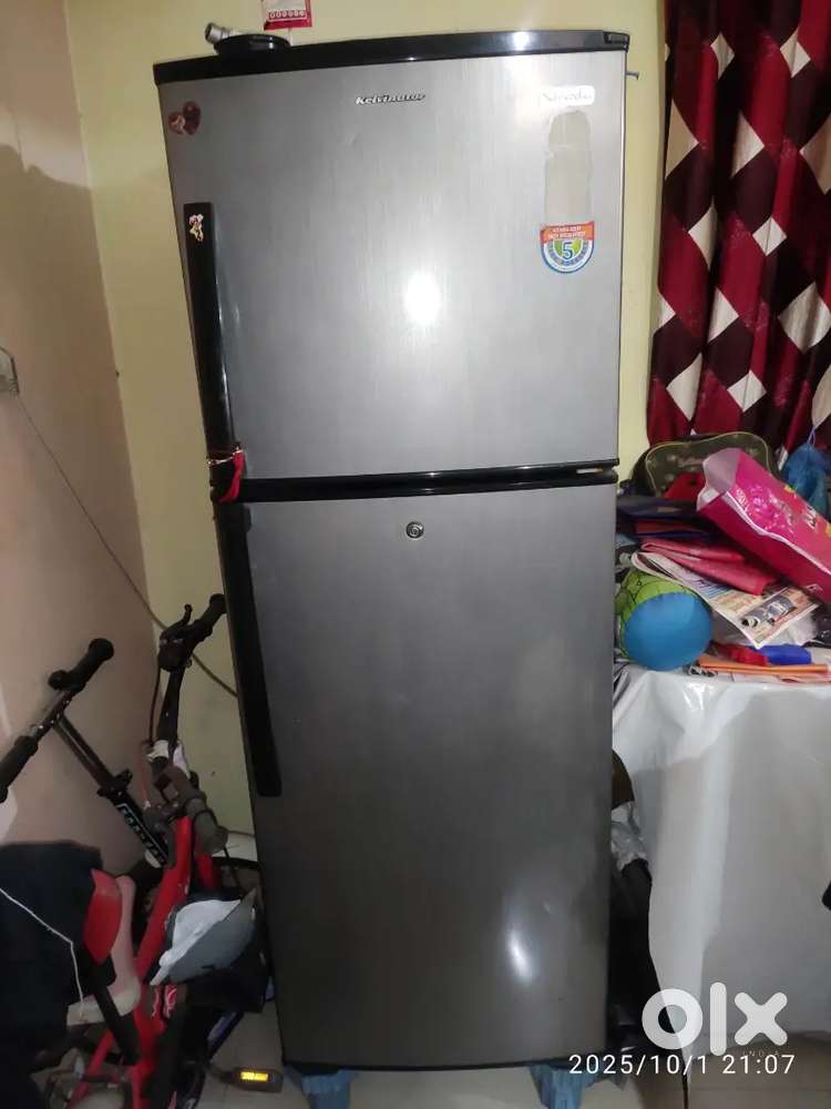 Dabal door fridge