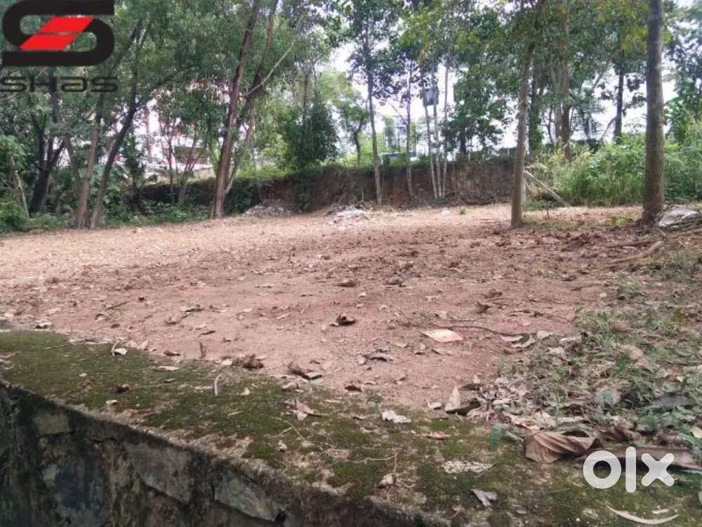 5 cent plot chakkarapambu