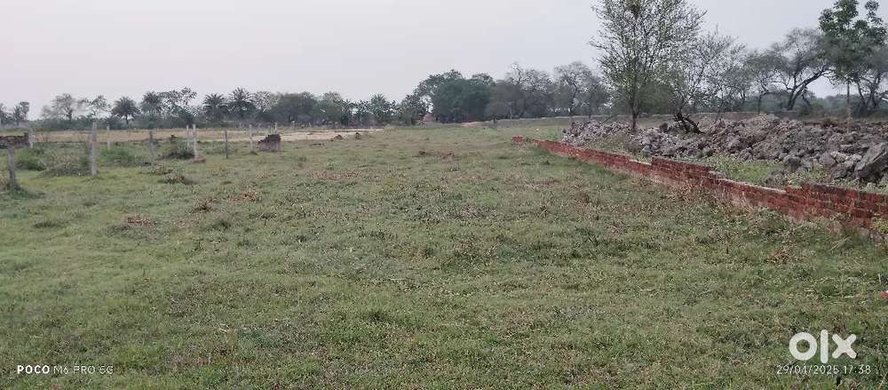 Urgent sell Low price plot 19.5 katha only  @65000/katha