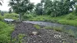 Khandwa Road पर सबसे सस्ता farmhouse project