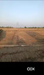We are selling because we have a urgent work
