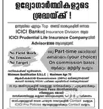 Wanted financial advisor