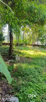 RESIDENTIALS  PLOTS FOR SALE AT CIVIL STATION