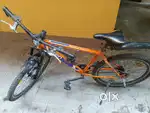 Avon cycle
