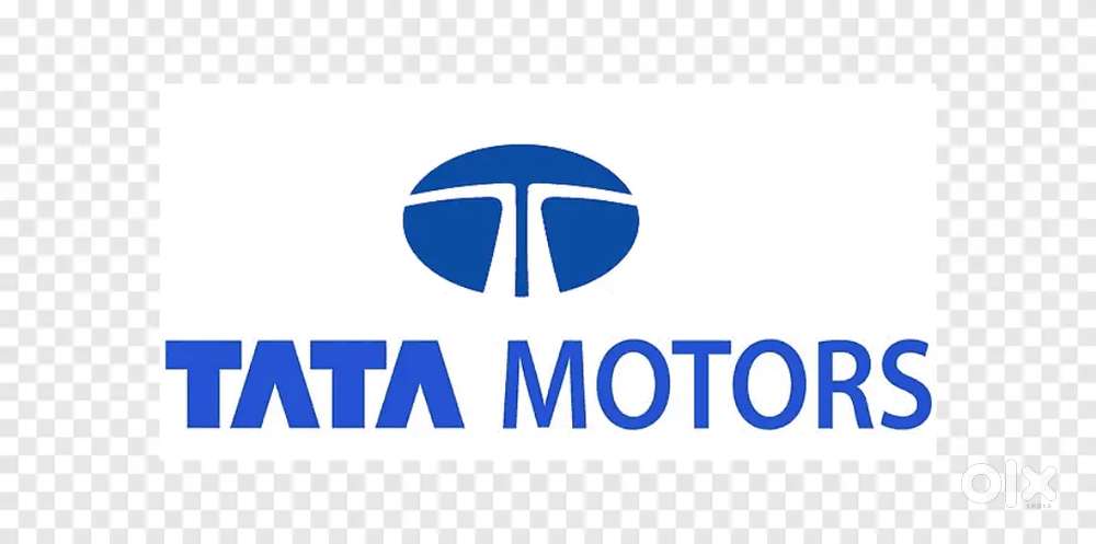 Sales and Finance executive Female/Male