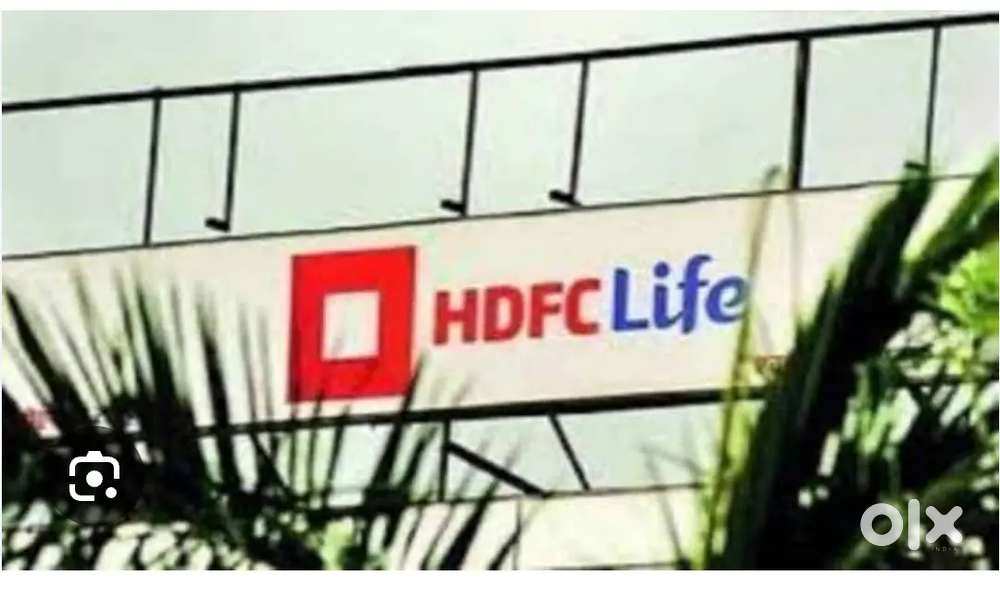 Insurance team leader