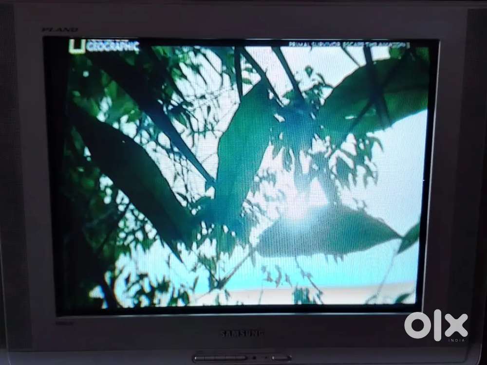 Samsung flat screen tv (30 inch)