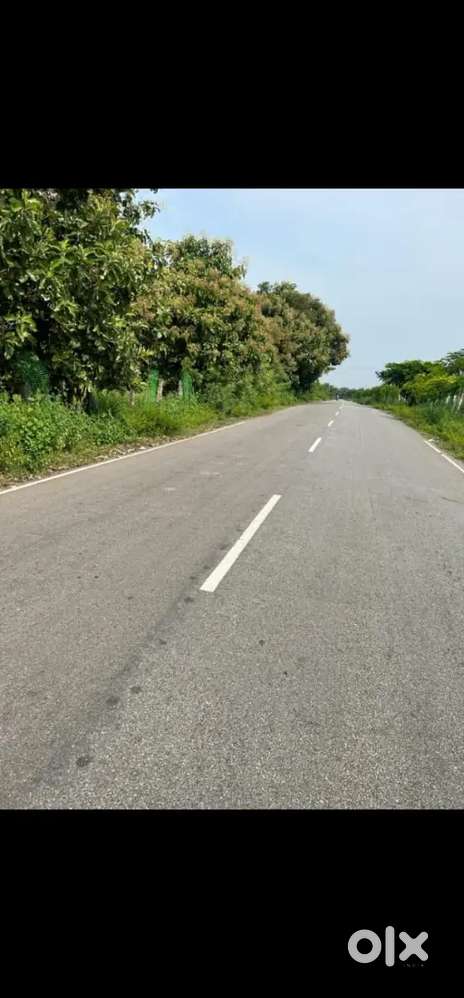 Miyapur Commercial Plots for Sale