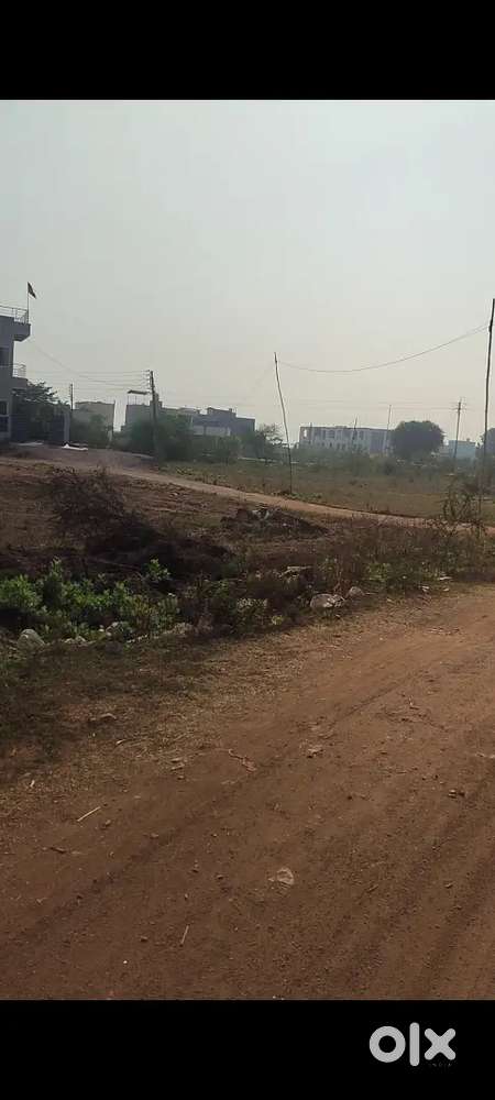 Risali patri par sarsavti kunj face 2 me plot