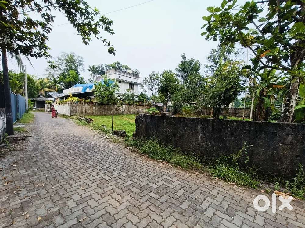 14 Cent Paravoor Karumalloor House Plot Tar Road Fronteg