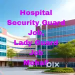 Hospital Security Guard