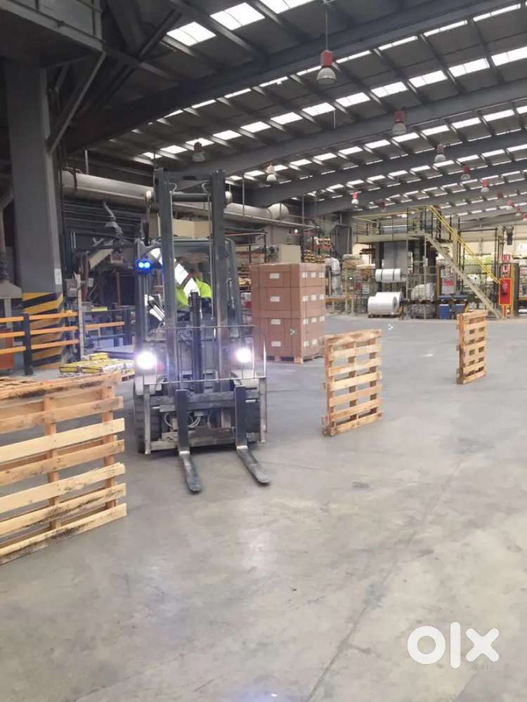 Warehouse is making up on Freshers