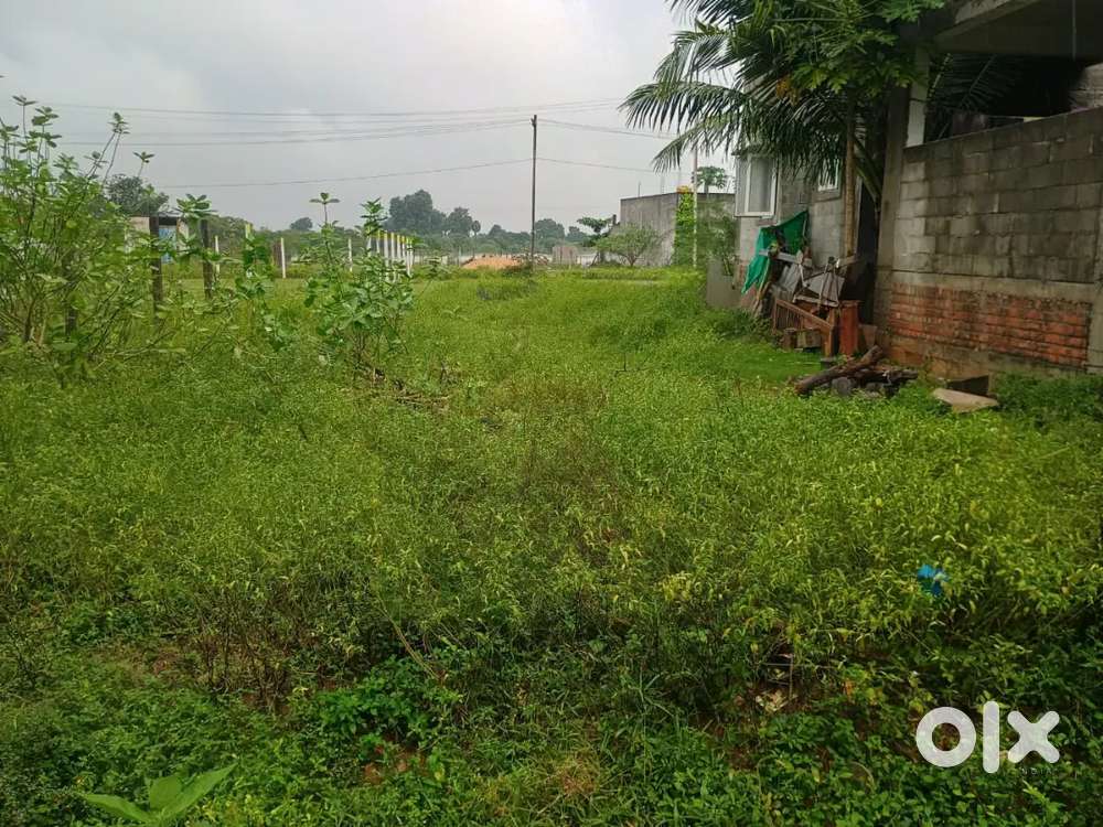 Thirumullaivoyal-Residential plot for sale(Brokers excuse)