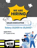 Sales Executive