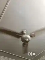 Fan seling