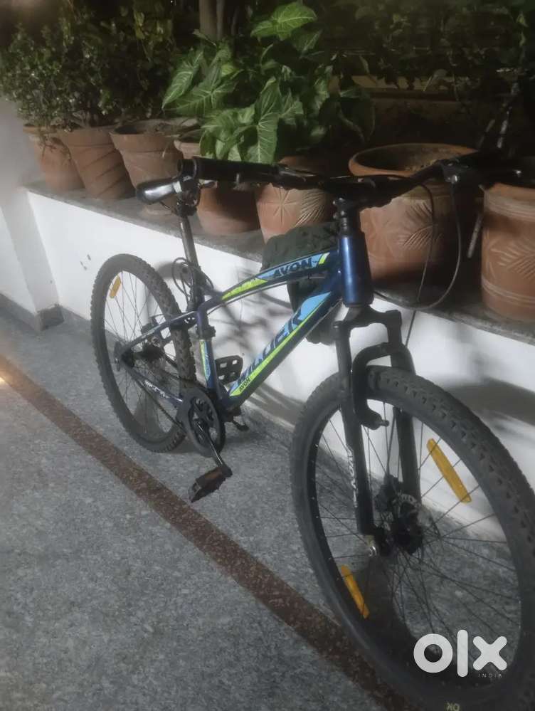 Avon cycle