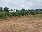 Aluva Keezhmadu 6acre land for sale