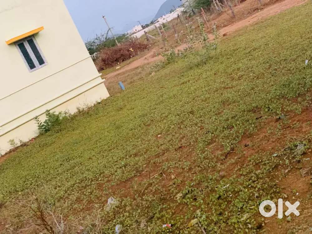 Near by Government schools,colleges,private