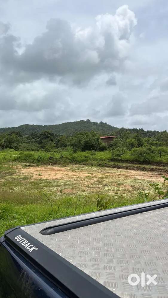 ORCHARD PLOTS FOR SALE