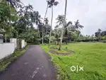 5Cent Land For Sale In Neericode Near Kongorpilly Varapuzha